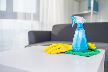 table-top-house-cleaning-products-spray-glove